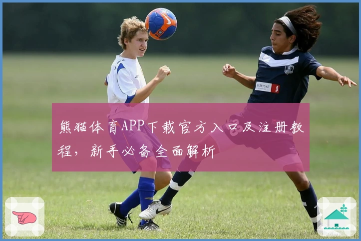 熊猫体育APP下载官方入口及注册教程，新手必备全面解析