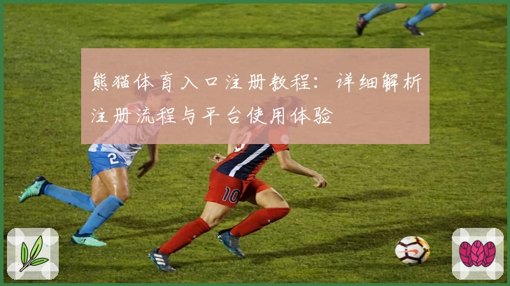 熊猫体育入口注册教程：详细解析注册流程与平台使用体验