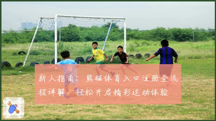 新人指南：熊猫体育入口注册全流程详解，轻松开启精彩运动体验