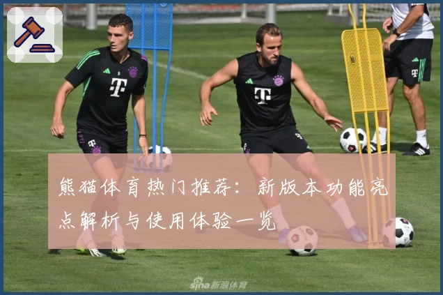 熊猫体育热门推荐：新版本功能亮点解析与使用体验一览