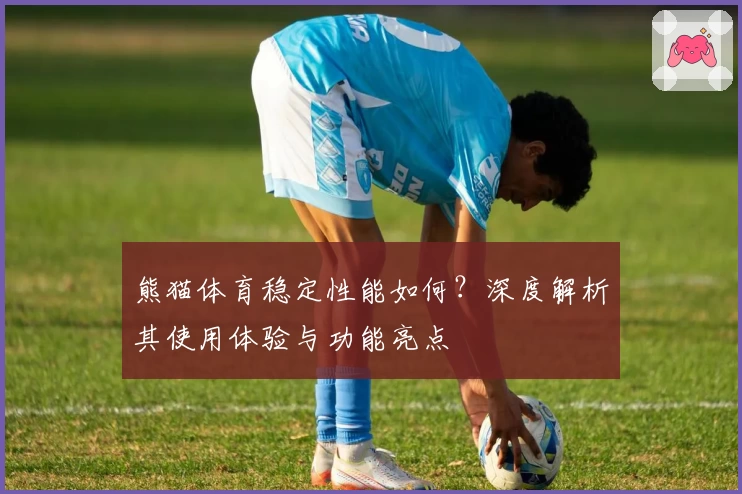 熊猫体育稳定性能如何？深度解析其使用体验与功能亮点