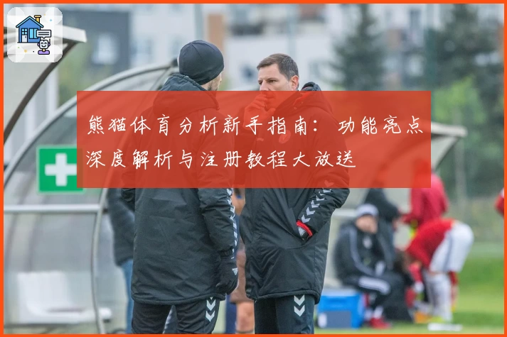 熊猫体育分析新手指南：功能亮点深度解析与注册教程大放送