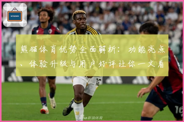 熊猫体育优势全面解析：功能亮点、体验升级与用户好评让你一文看懂