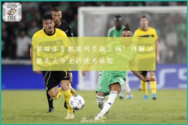 熊猫体育数据网页版上线！详解功能亮点与全新使用体验