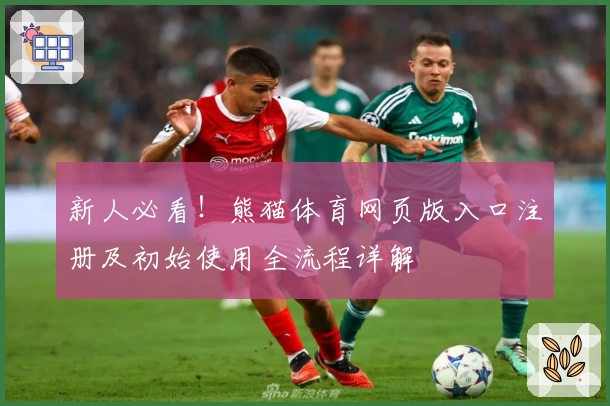 新人必看！熊猫体育网页版入口注册及初始使用全流程详解