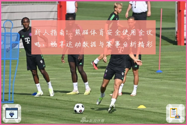 新人指南：熊猫体育安全使用全攻略，畅享运动数据与赛事分析精彩体验