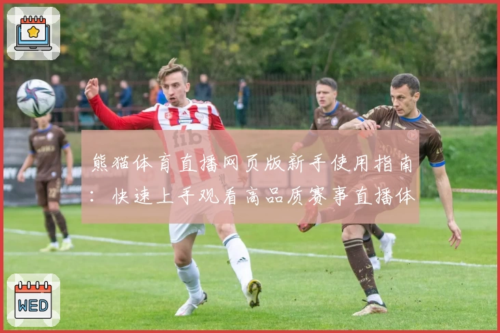 熊猫体育直播网页版新手使用指南：快速上手观看高品质赛事直播体验