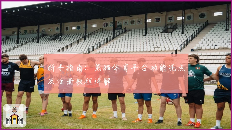 新手指南：熊猫体育平台功能亮点及注册教程详解