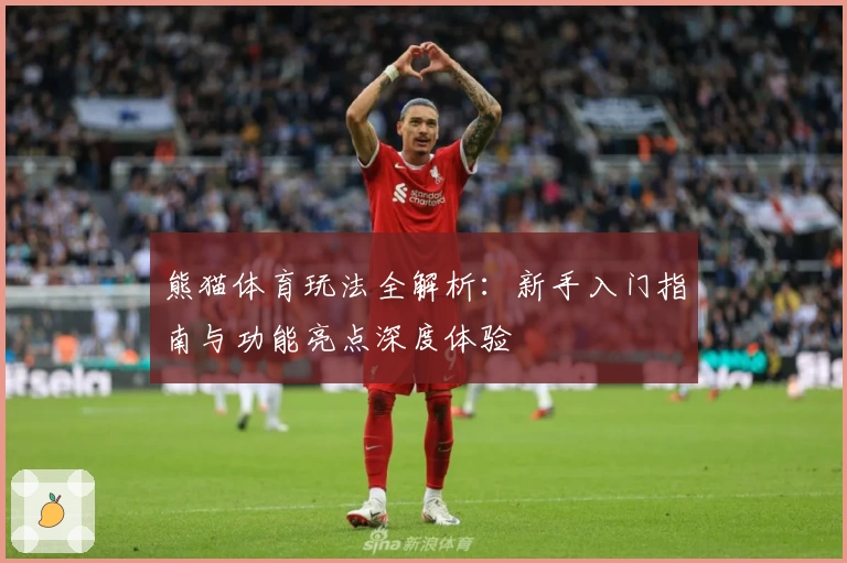 熊猫体育玩法全解析：新手入门指南与功能亮点深度体验