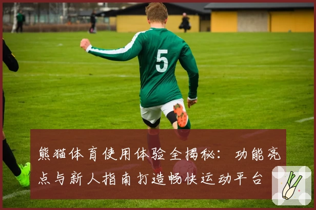 熊猫体育使用体验全揭秘:功能亮点与新人指南打造畅快运动平台