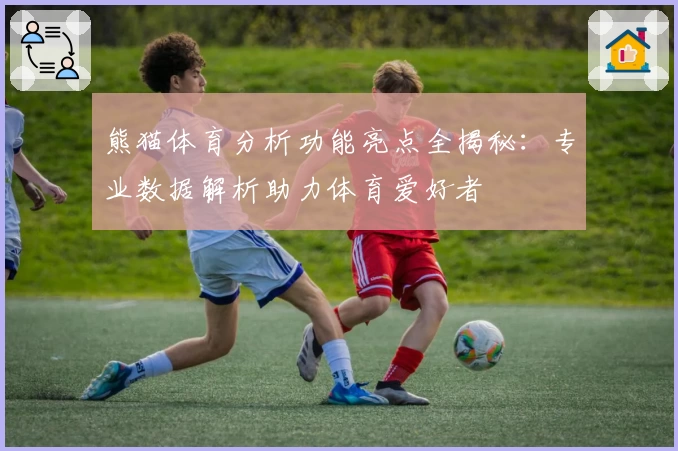 熊猫体育分析功能亮点全揭秘：专业数据解析助力体育爱好者