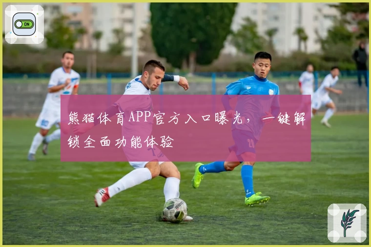 熊猫体育APP官方入口曝光，一键解锁全面功能体验